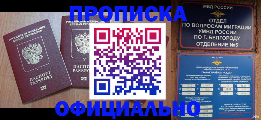 найти адрес прописки в Архангельской области